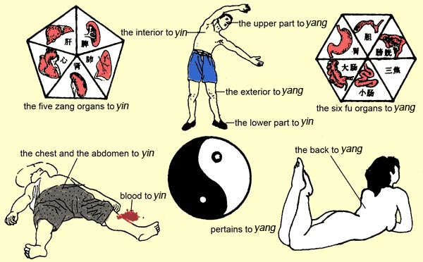 Yin-Yang Theory